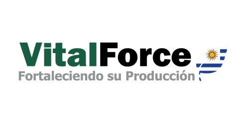 VitalForce